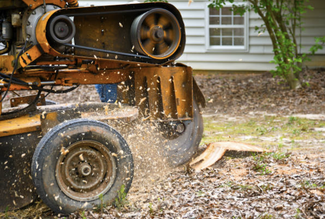 stump grinding 